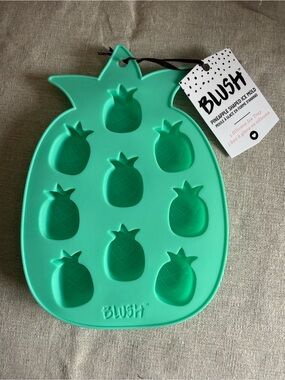 Pack of 2 Blush Silicone Pineapple Ice Tray - Teal
